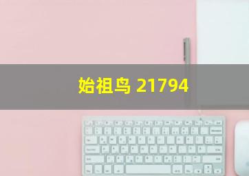 始祖鸟 21794